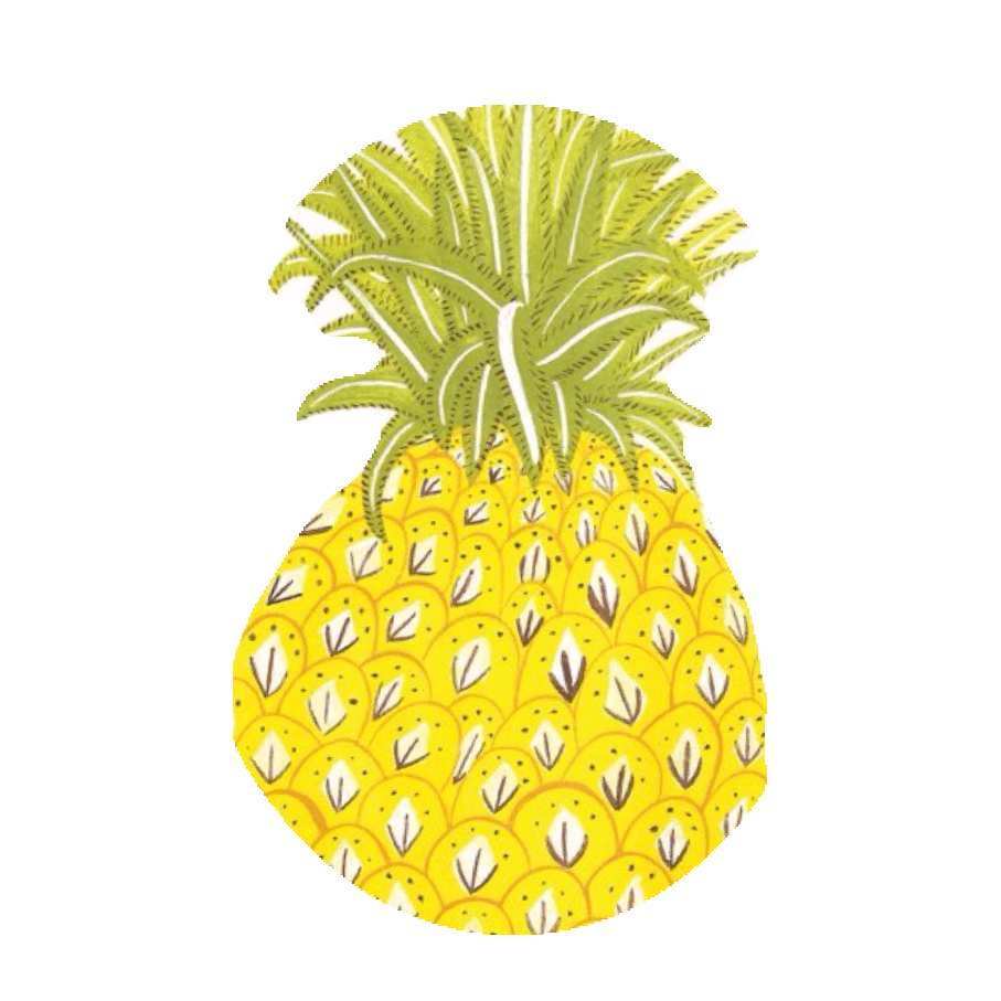 pineapple clipart sticker