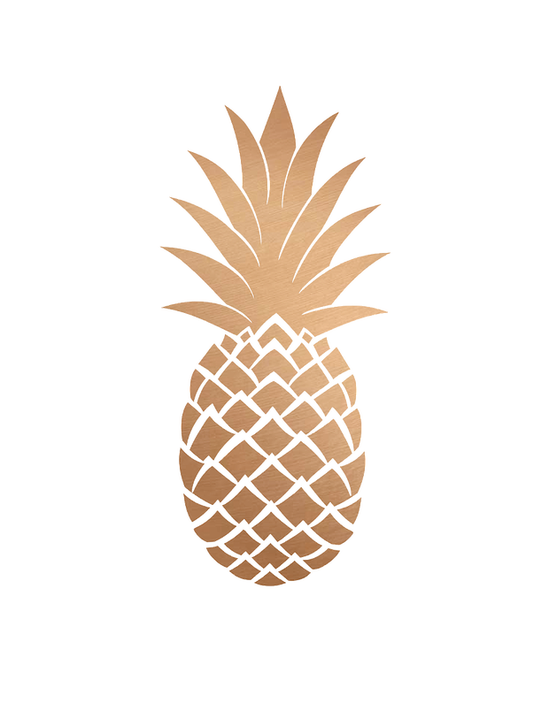 clipart pineapple boho