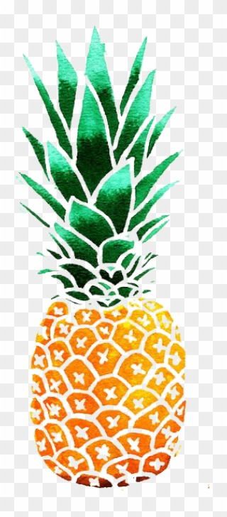 clipart pineapple classy
