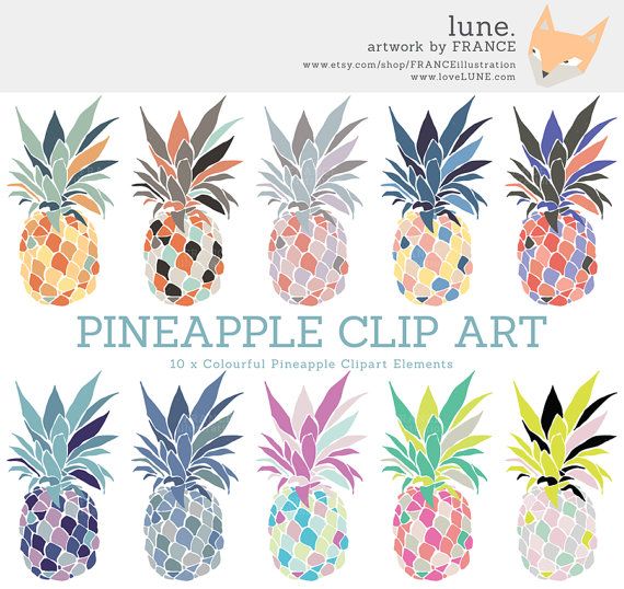 clipart pineapple coloured