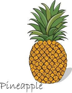 clipart pineapple food