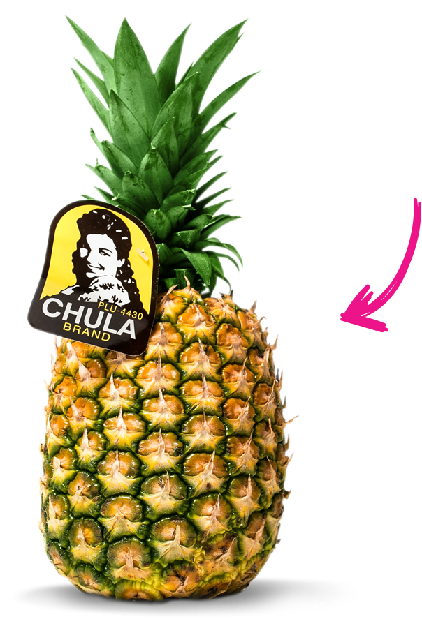 clipart pineapple fruite