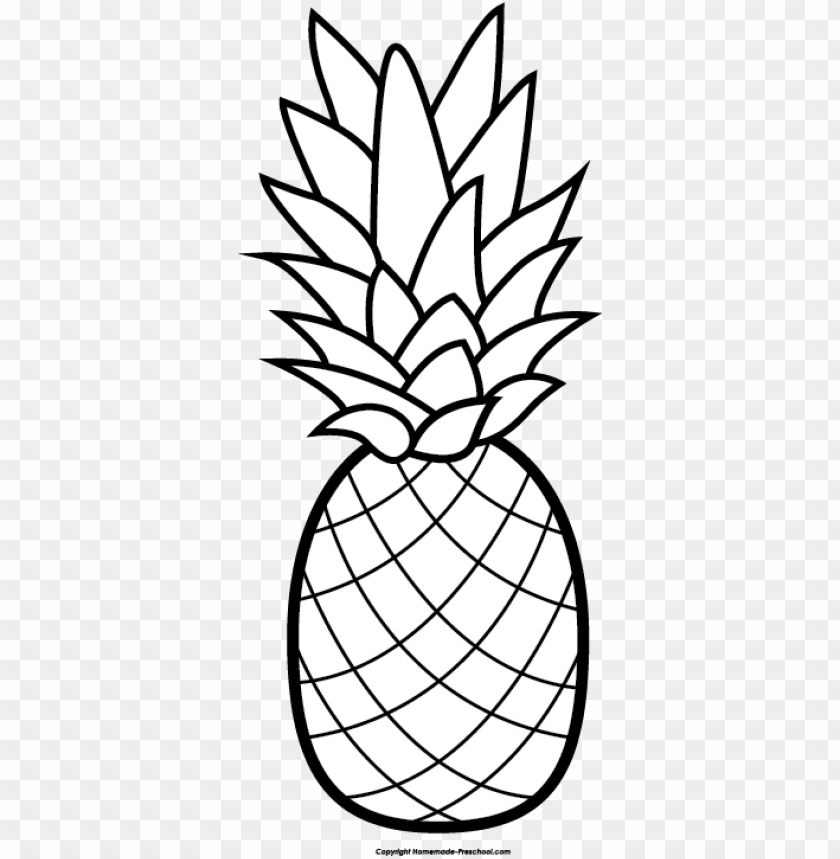 clipart pineapple grey