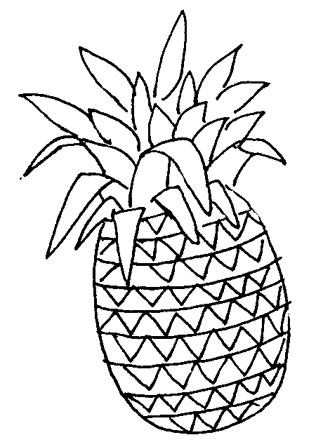 pineapple clipart outline
