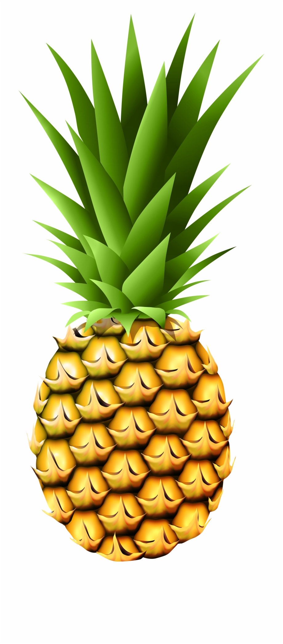 pineapple clipart high quality