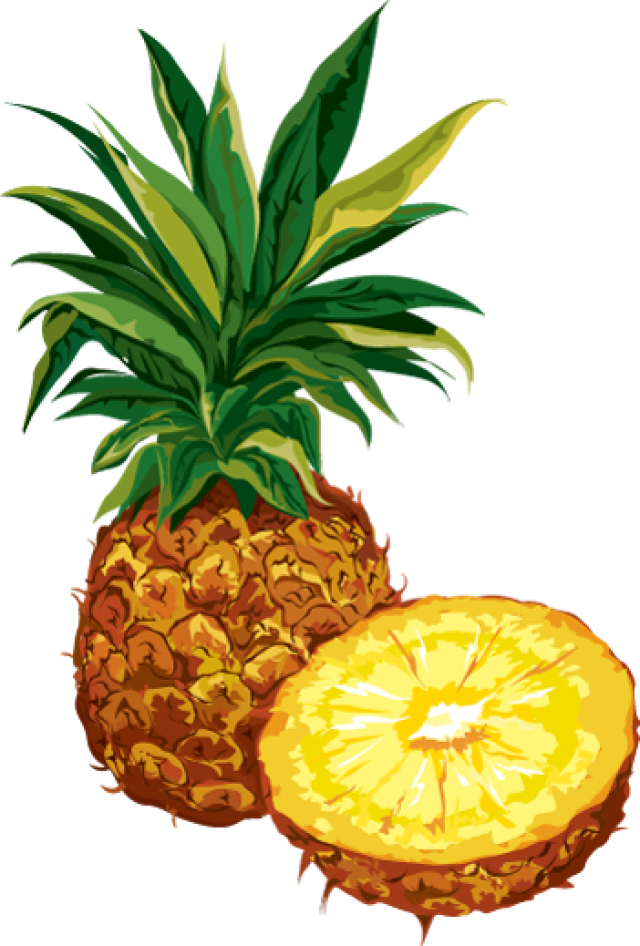 pineapple clipart modern