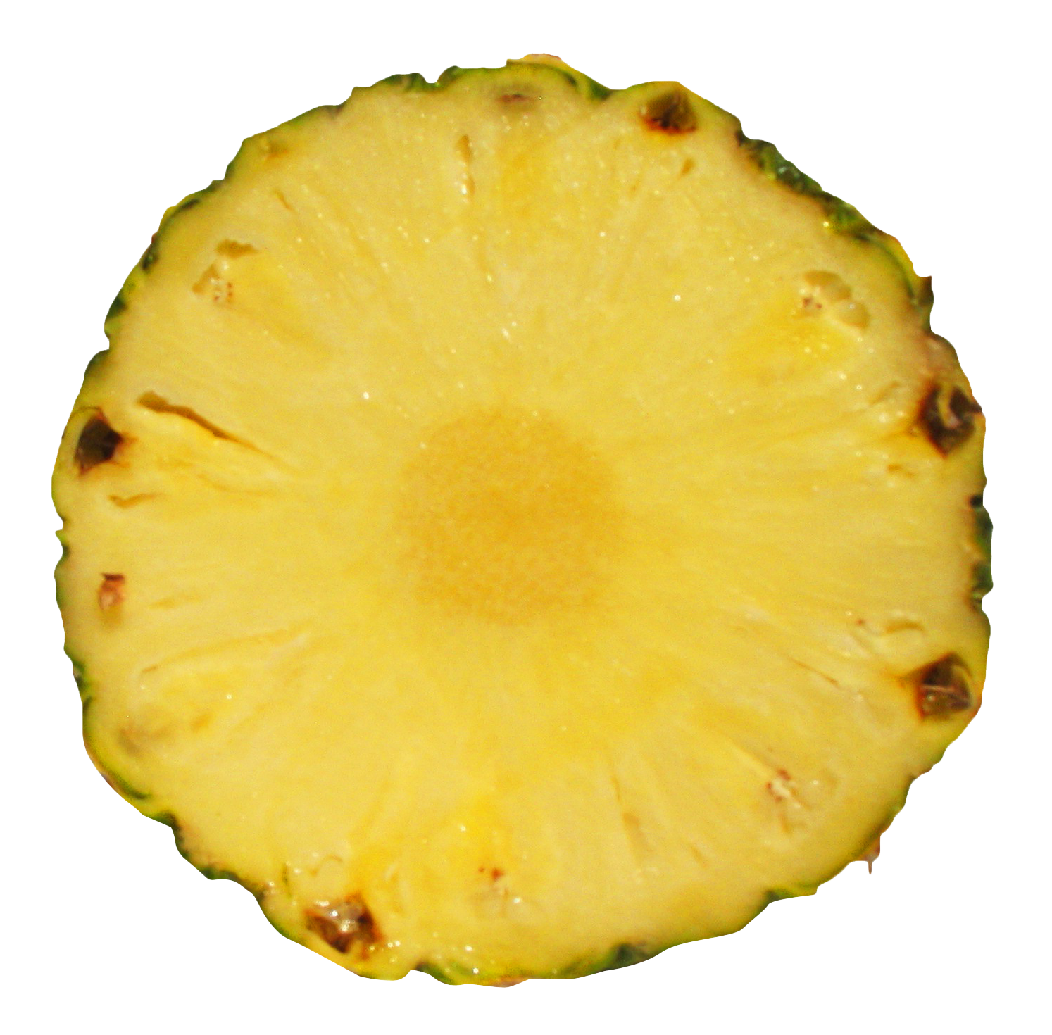 pineapple clipart pineapple slice