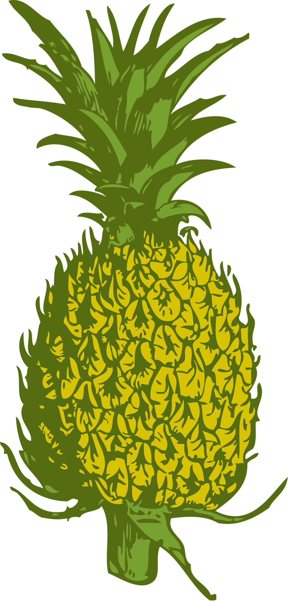 clipart pineapple pineapple slice