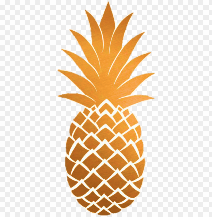clipart pineapple rose gold