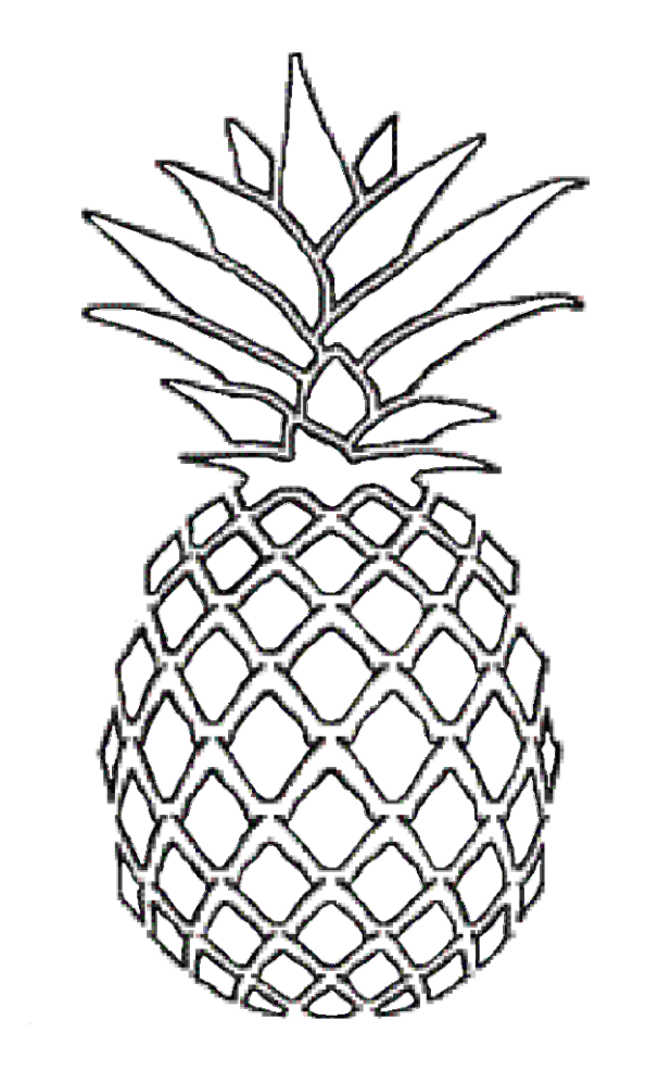 clipart pineapple sketch