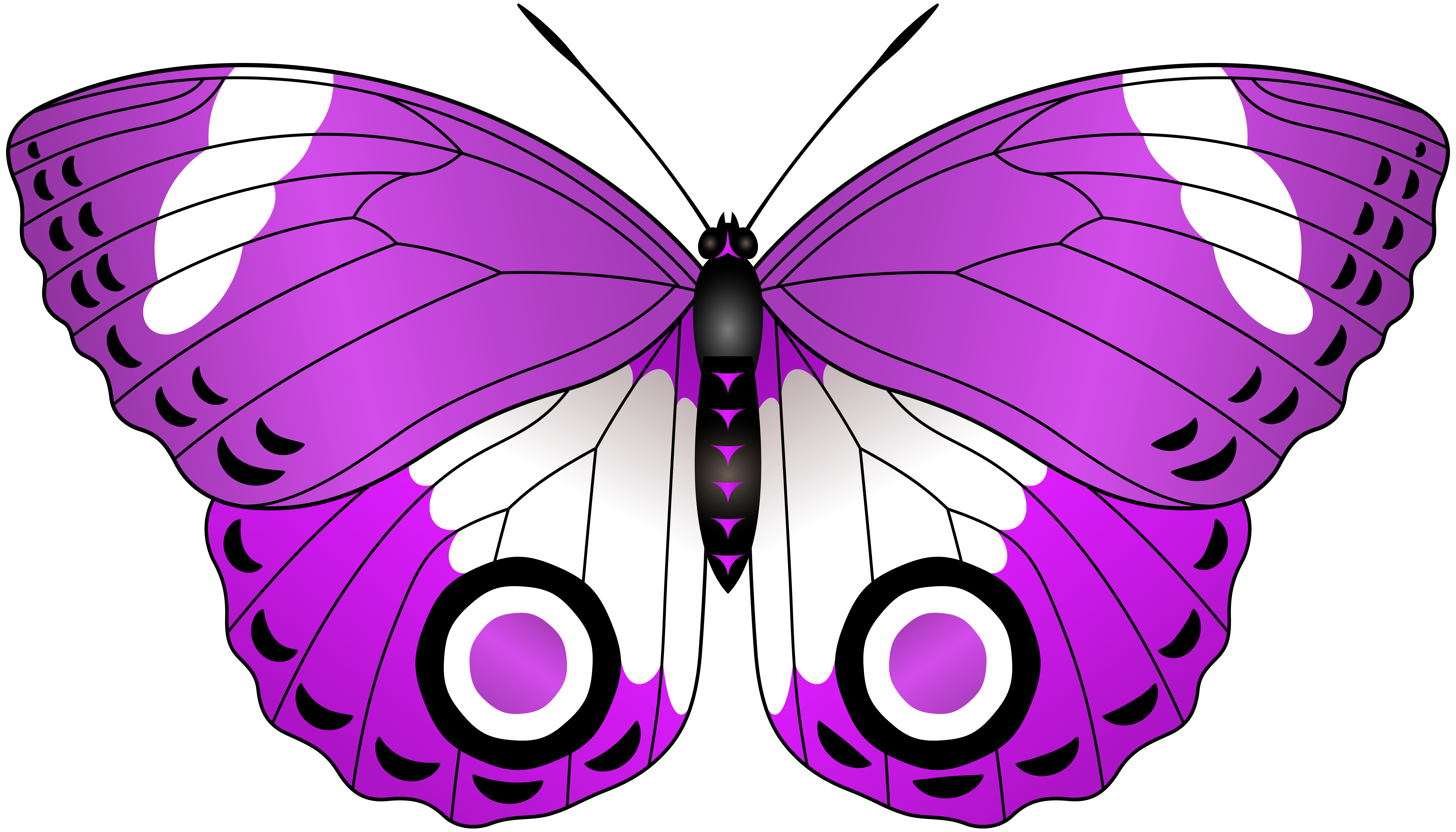 purple clipart insect