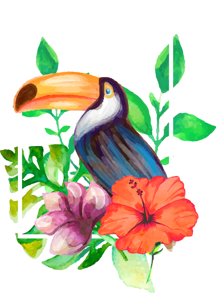 pineapple clipart toucan