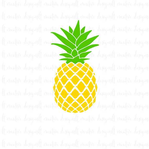 clipart pineapple tumbler