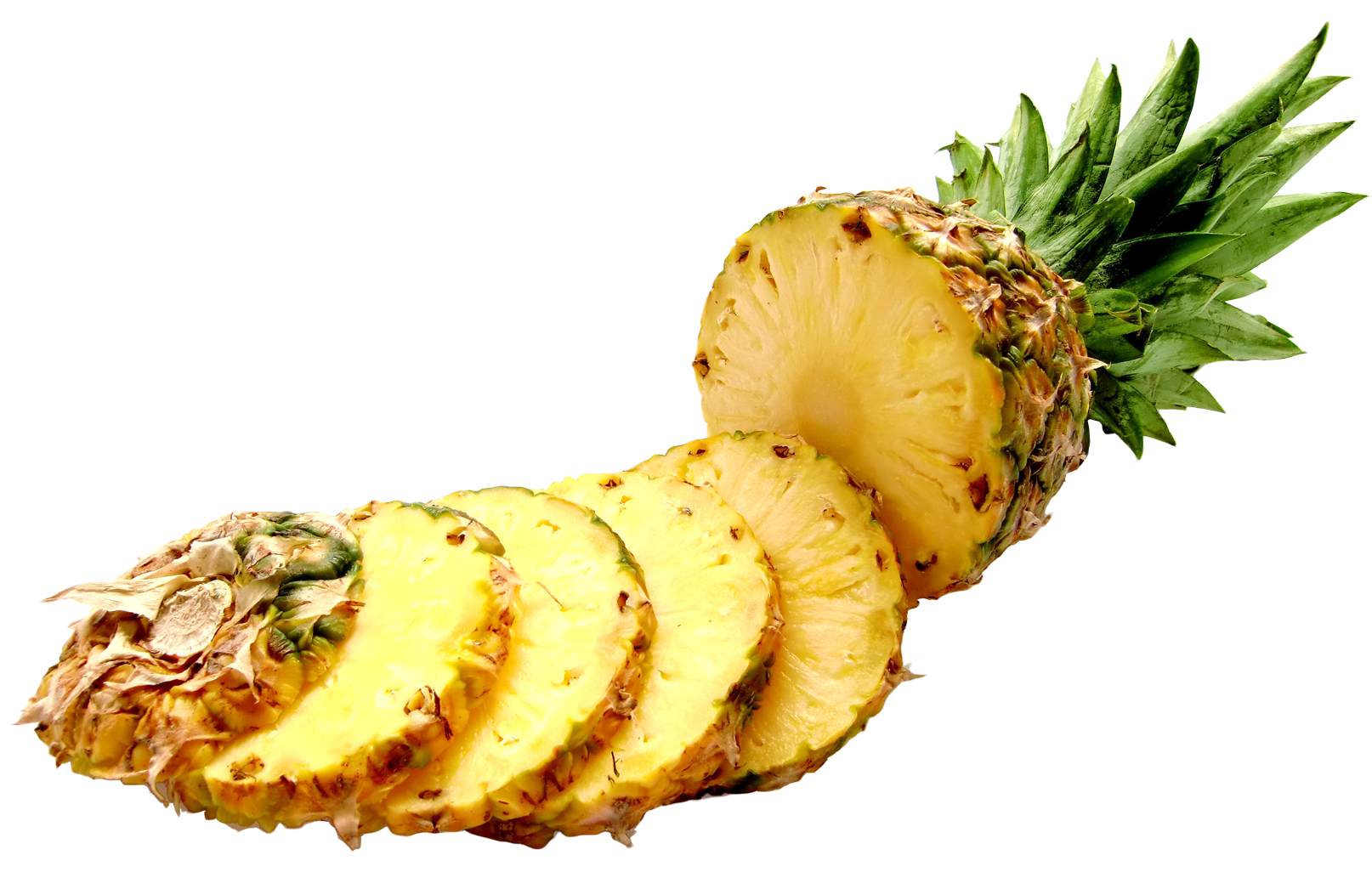 clipart pineapple vector