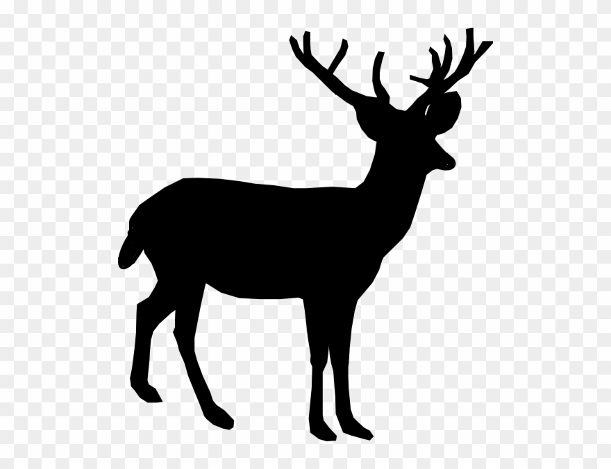 Deer clipart real deer. Jpg freeuse whitetail clip