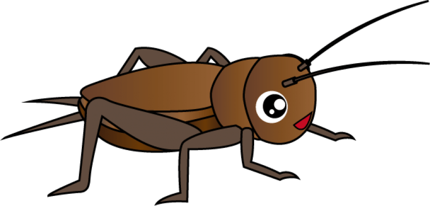 insects clipart animal