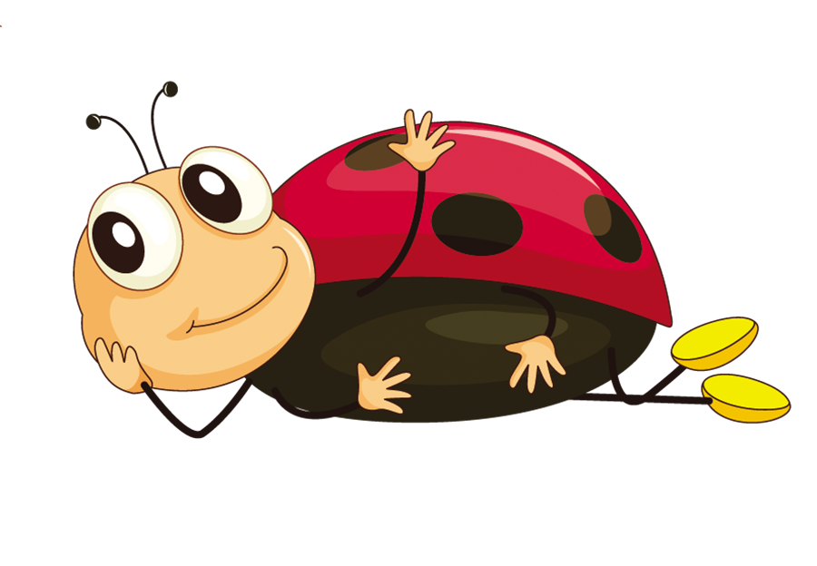 clipart png insect