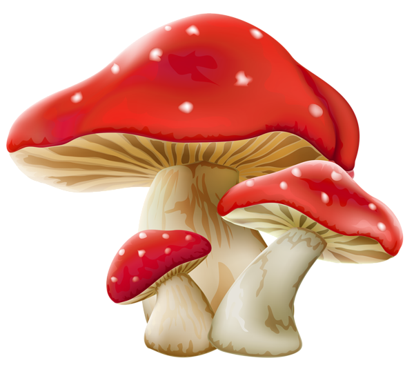 Web amb moltes imtages. Mushrooms clipart enchanted forest