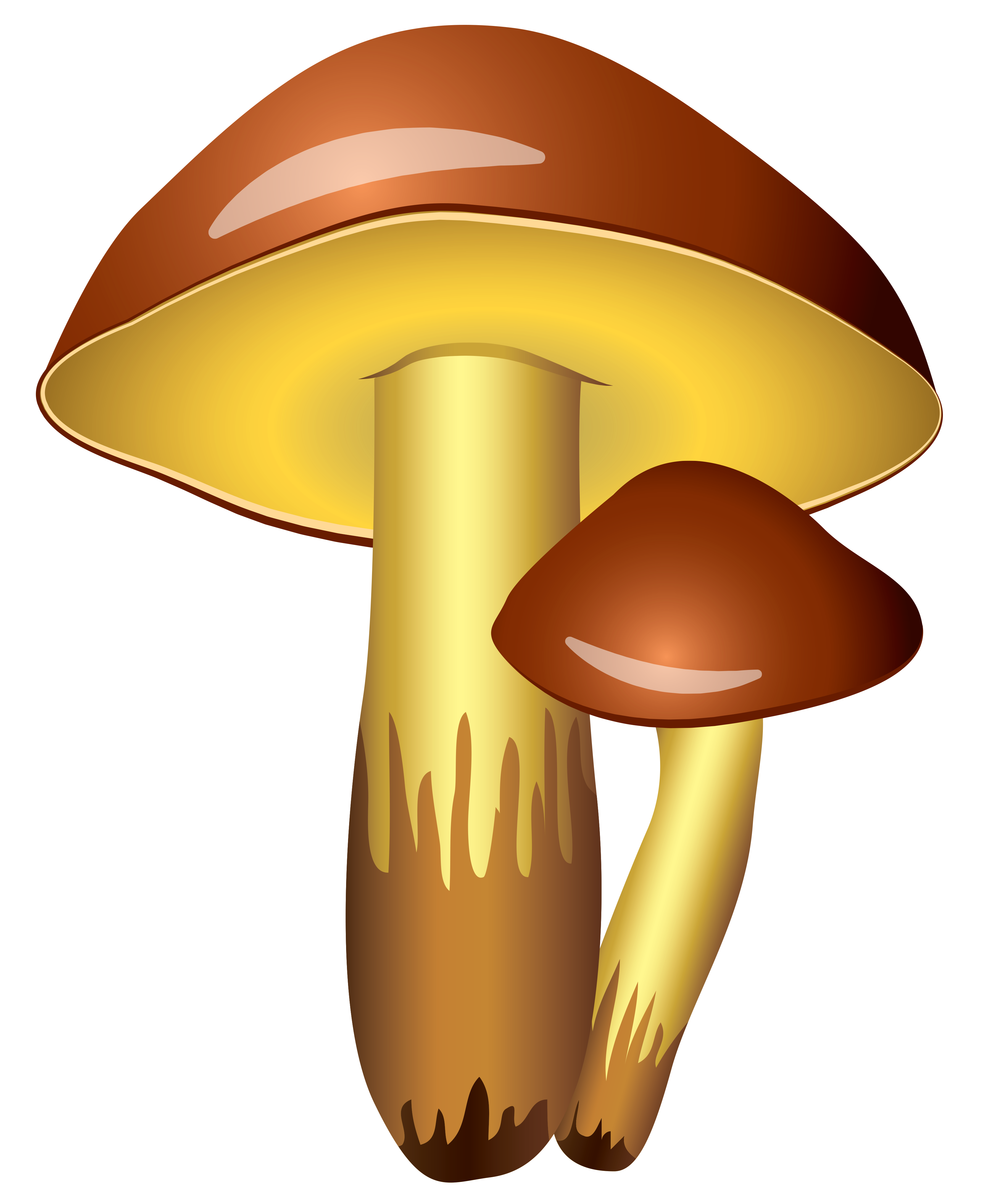 Transparent png picture gallery. Mushrooms clipart mushroom home