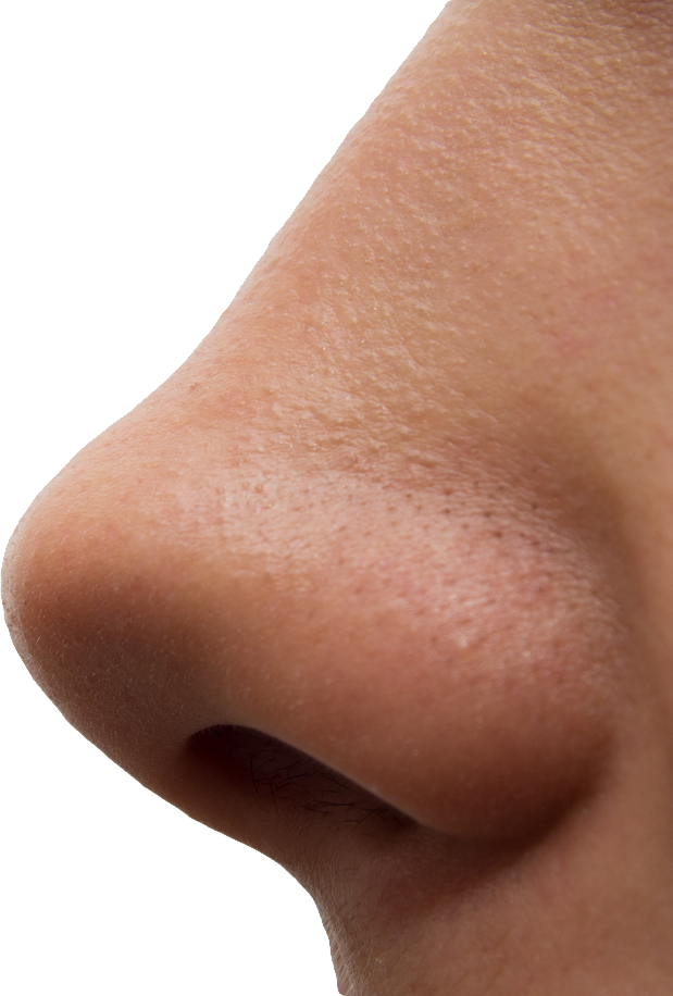 clipart png nose