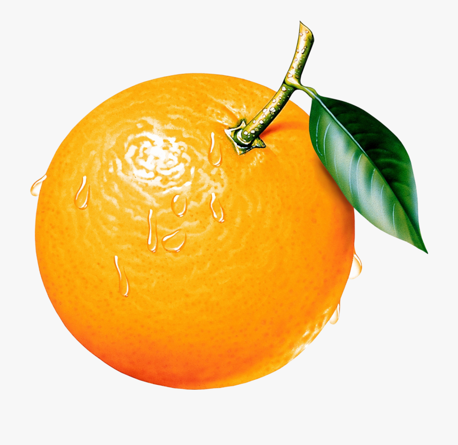 oranges clipart oragne