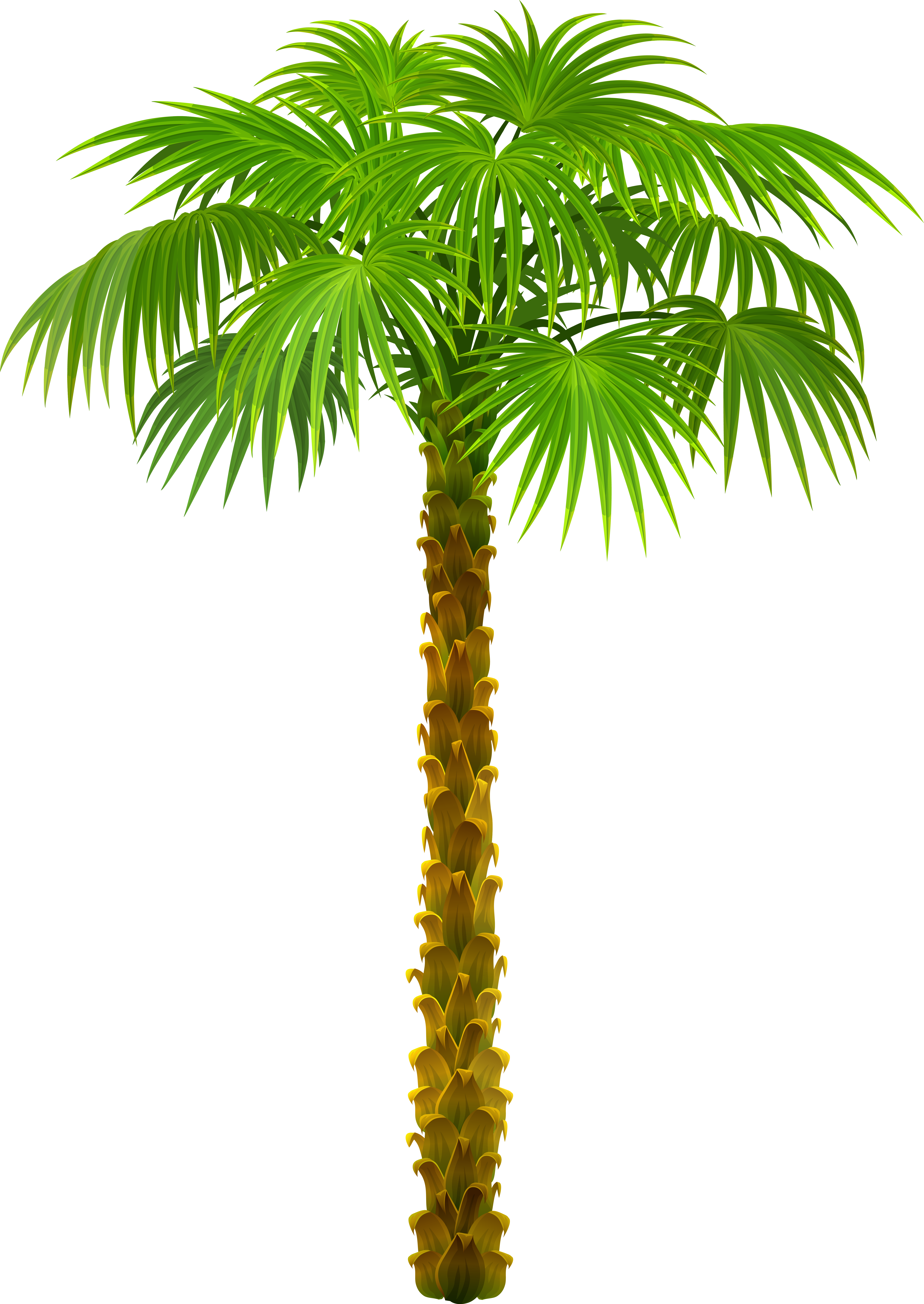 free clipart palm tree