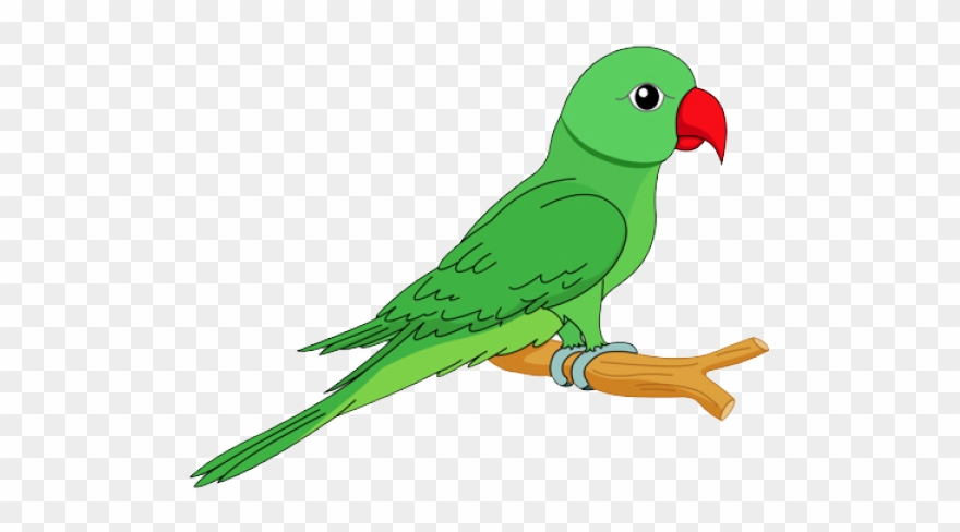 parrot clipart clip art
