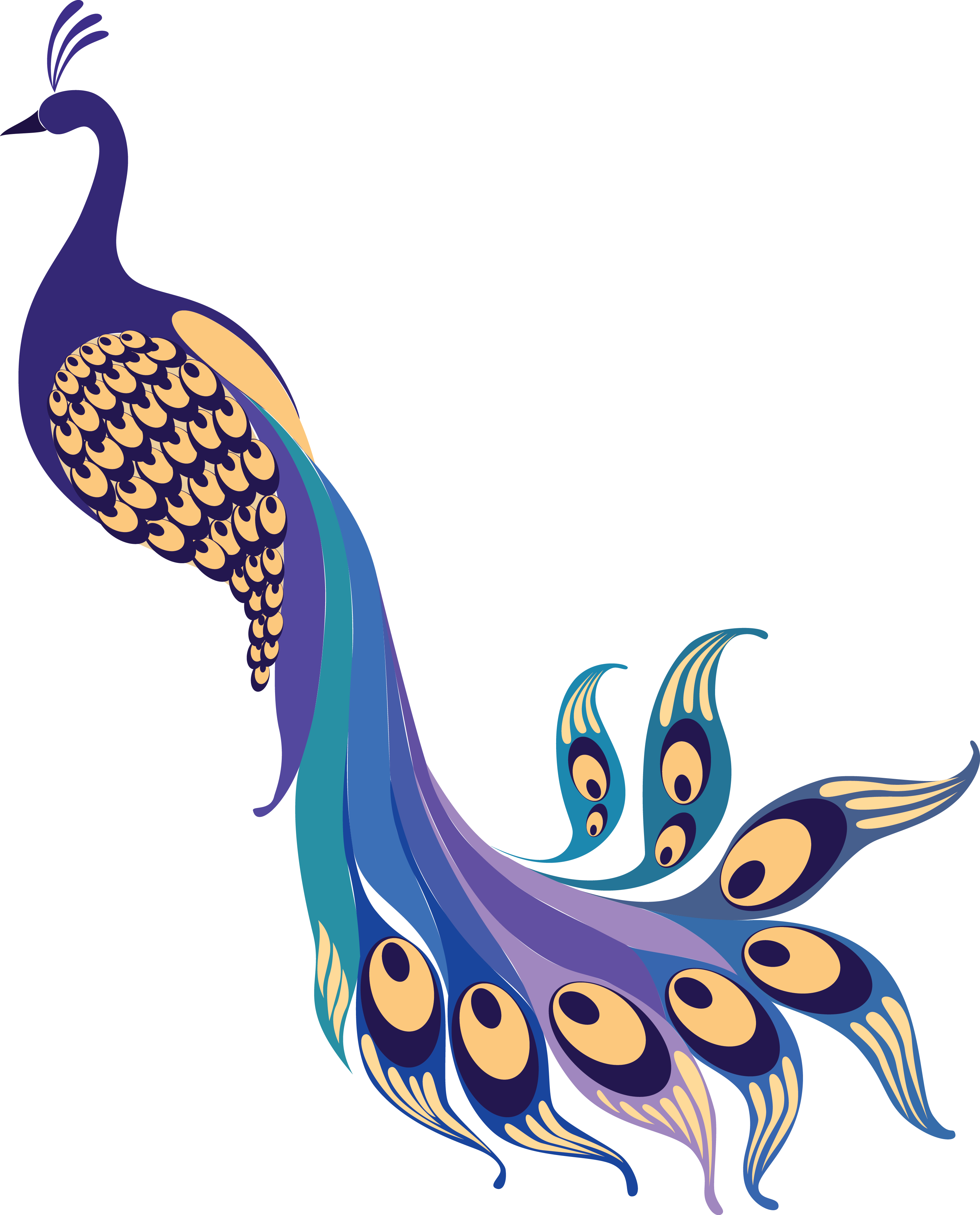 Clipart png peacock. Trinetra about free indian