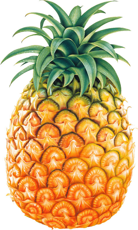 clipart png pineapple