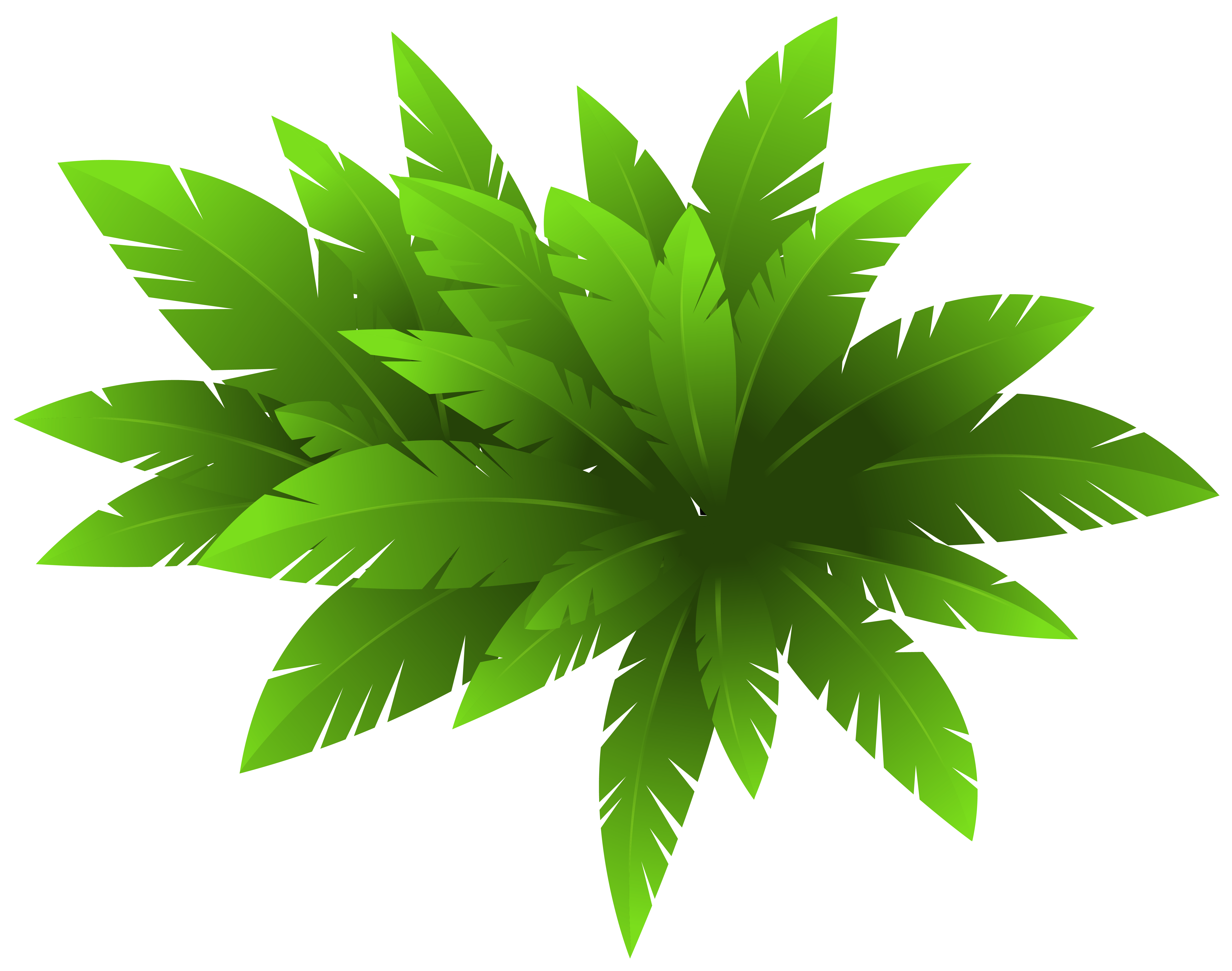 plant clipart decoration