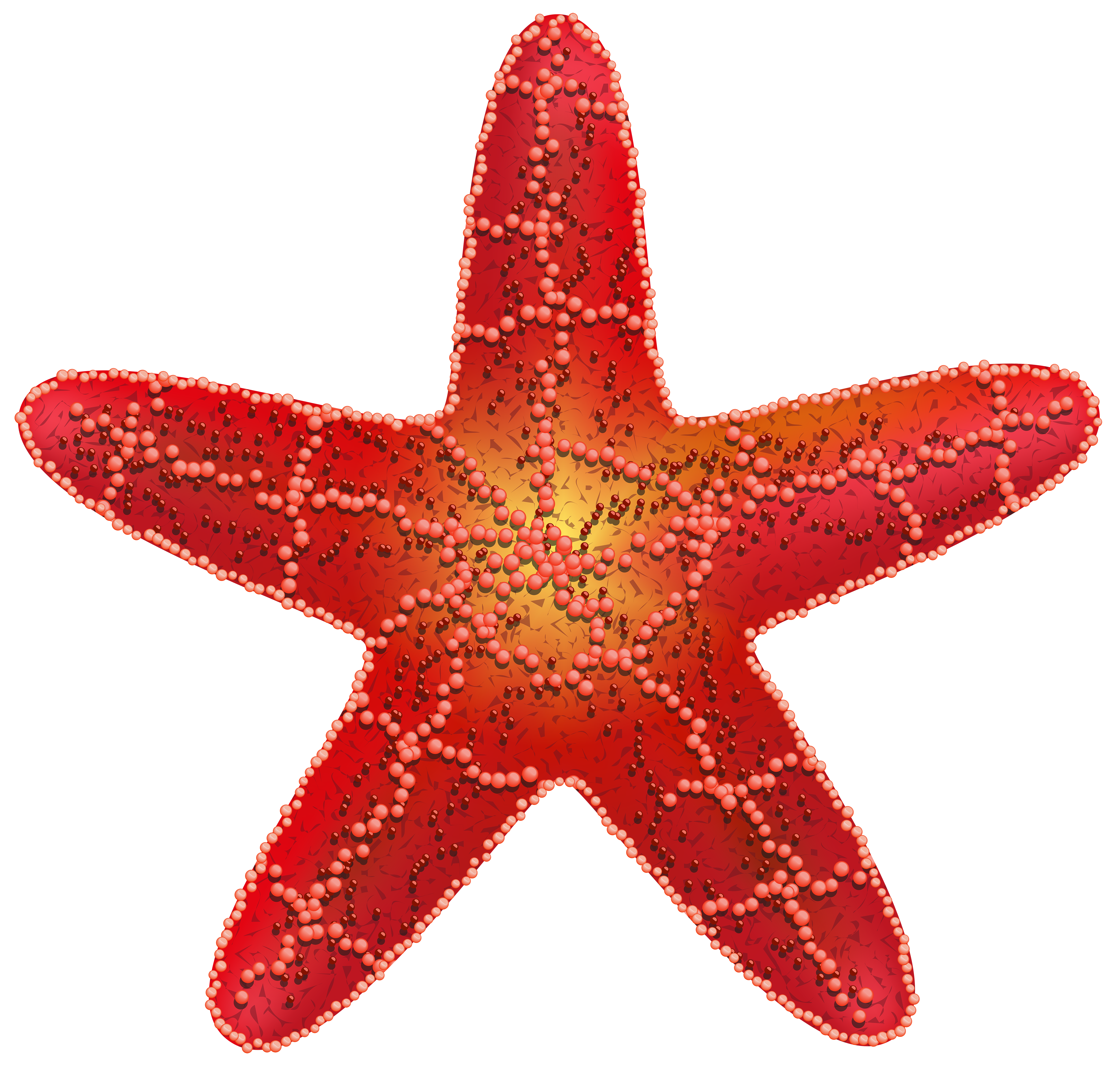 Starfish clipart nemo friend. Red png clip art