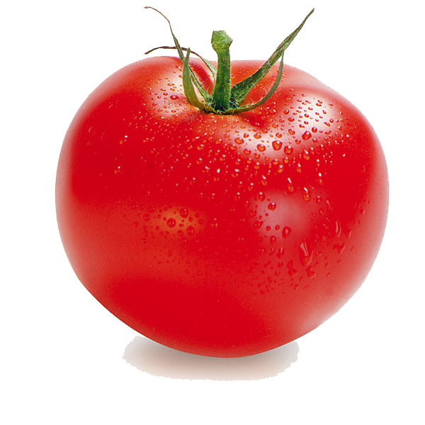 Hd transparentpng download free. Clipart png tomato