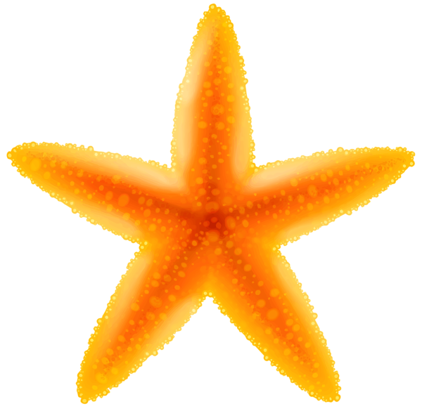 starfish clipart clear background