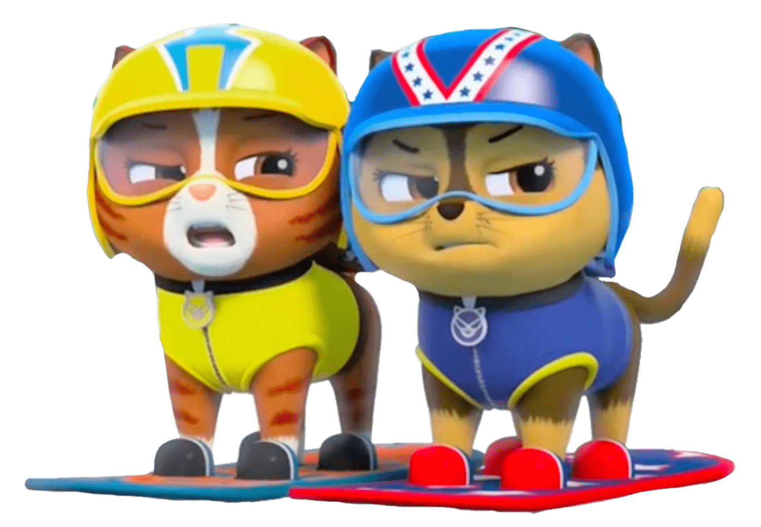 Two cats from transparent. Paw patrol images png