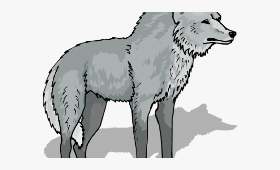 wolf clipart transparent background