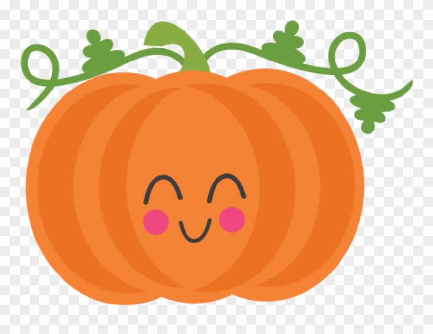 Squash at getdrawings . Clipart pumpkin cute