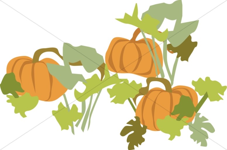 Clipart pumpkin day. Patch with foliage harvest
