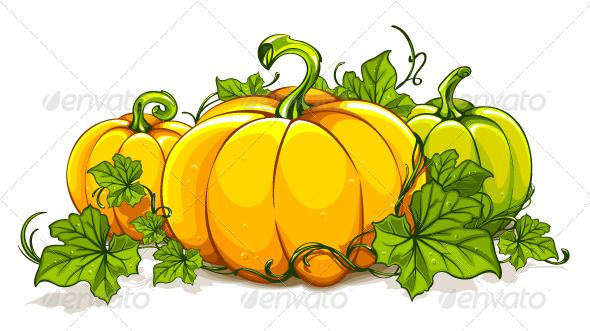 fall clipart pumpkin plant