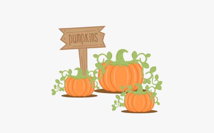 Cute png transparent . Clipart pumpkin pumpkin patch