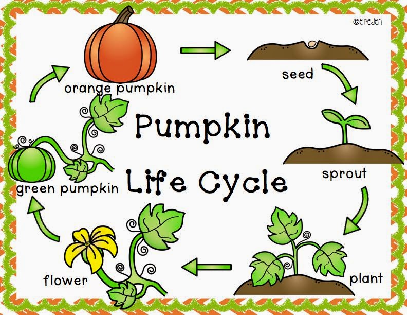 clipart pumpkin science