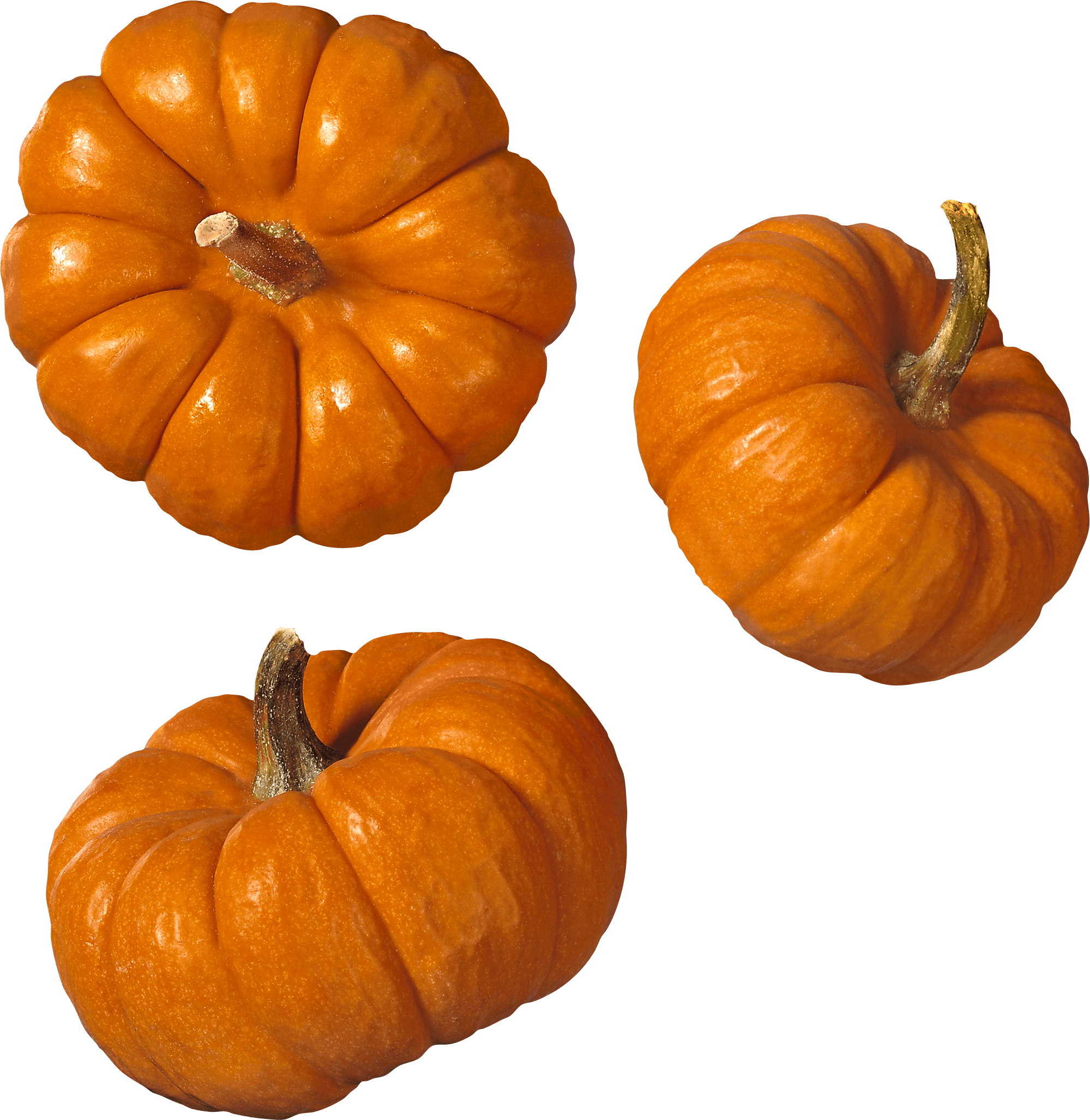 pumpkin clipart stack