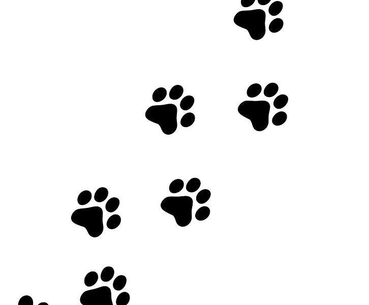 clipart puppy foot