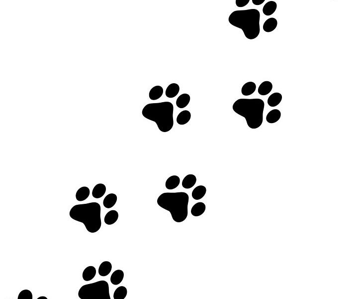 paws clipart puppy