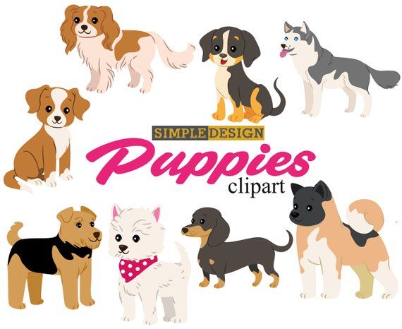 clipart puppy pet
