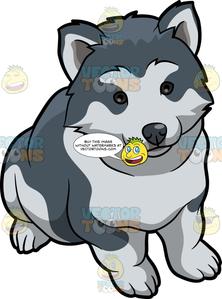 An adorable dog . Clipart puppy pomsky