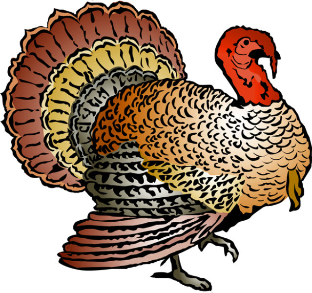 Free thanksgiving download best. Clipart turkey pick