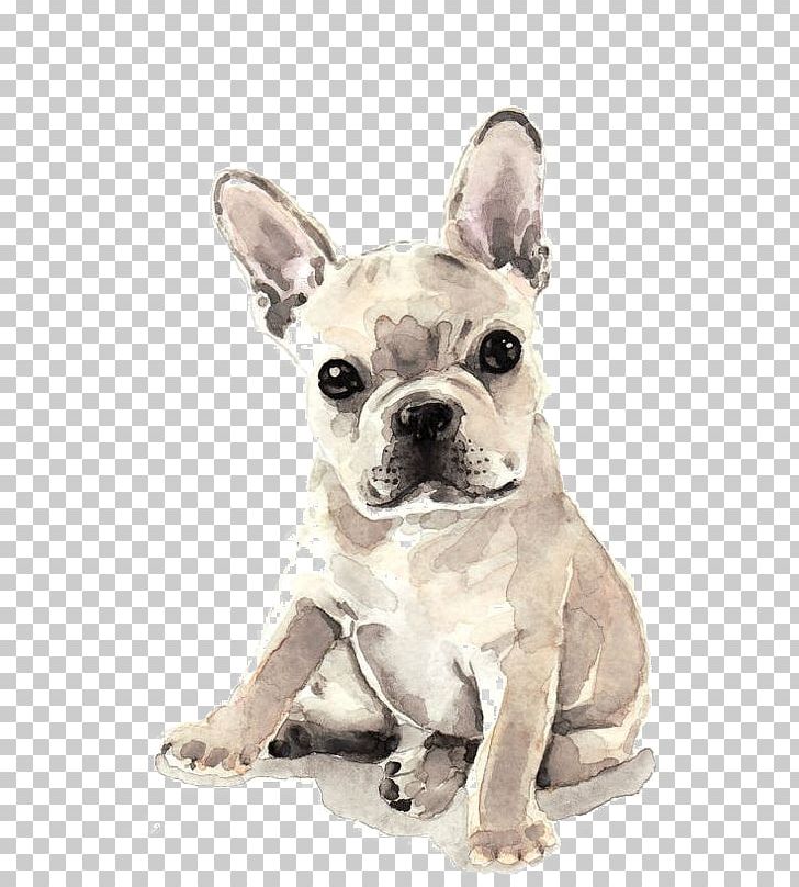 clipart puppy watercolor