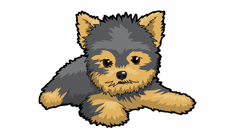 paws clipart yorkie