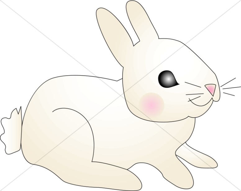 clipart rabbit baby rabbit