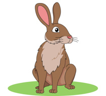 clipart rabbit brown rabbit